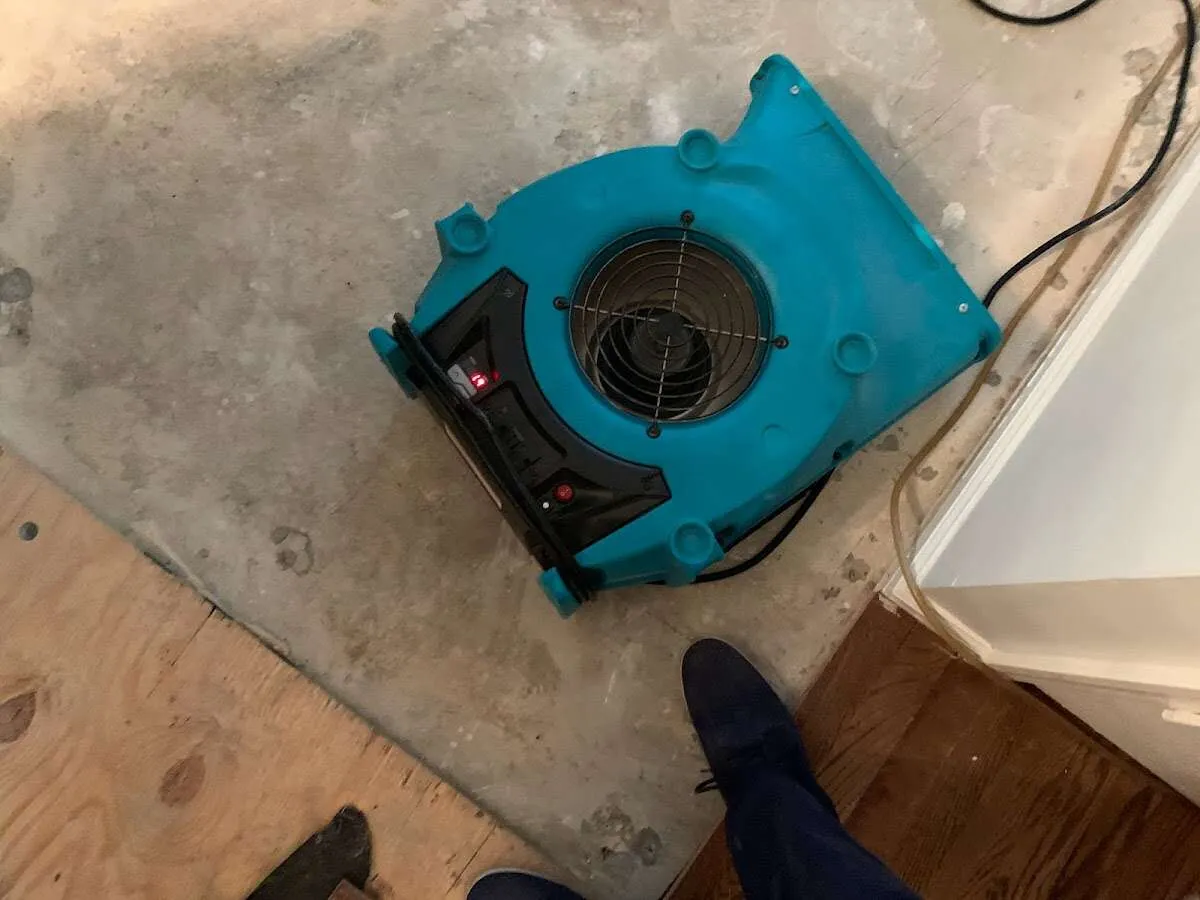 Air mover drying subfloor during Leak Detection & Repair in Old Town